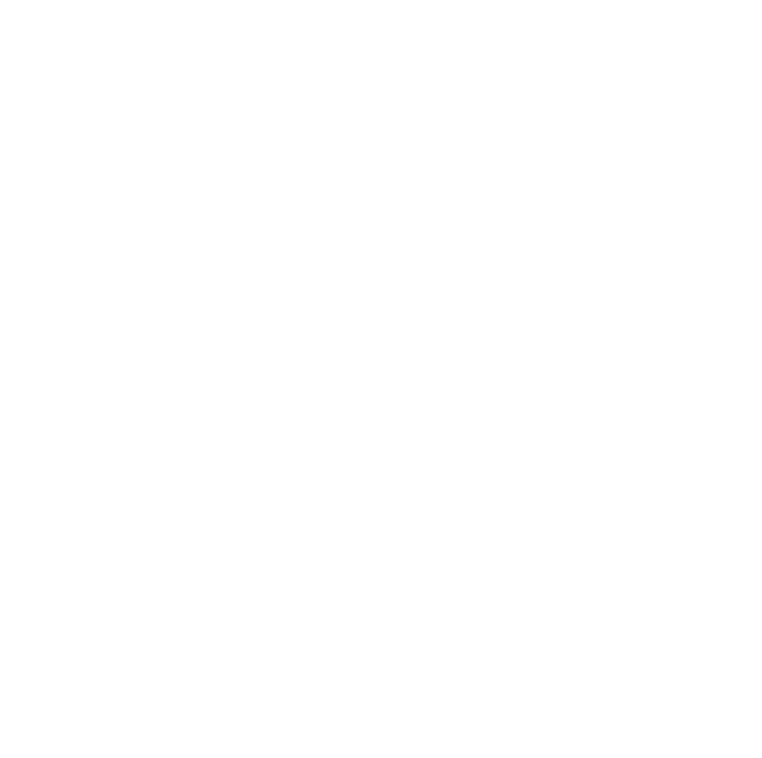 St. Vincent De Paul 